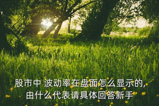  股市中 波動(dòng)率在盤面怎么顯示的,由什么代表請(qǐng)具體回答新手