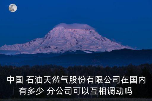 中國 石油天然氣股份有限公司在國內(nèi)有多少 分公司可以互相調(diào)動(dòng)嗎