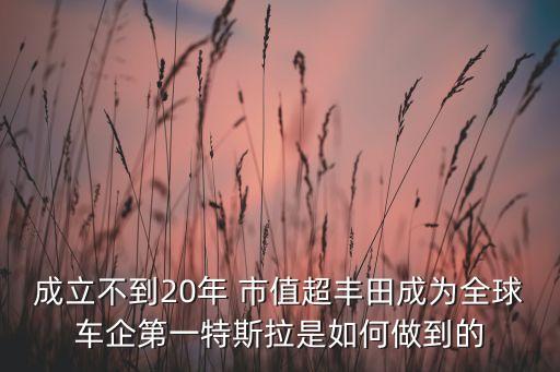 成立不到20年 市值超豐田成為全球車(chē)企第一特斯拉是如何做到的