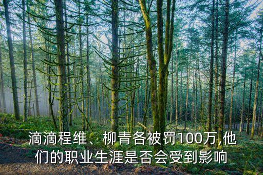  滴滴程維、柳青各被罰100萬(wàn),他們的職業(yè)生涯是否會(huì)受到影響