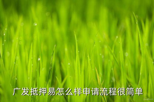  廣發(fā)抵押易怎么樣申請(qǐng)流程很簡(jiǎn)單