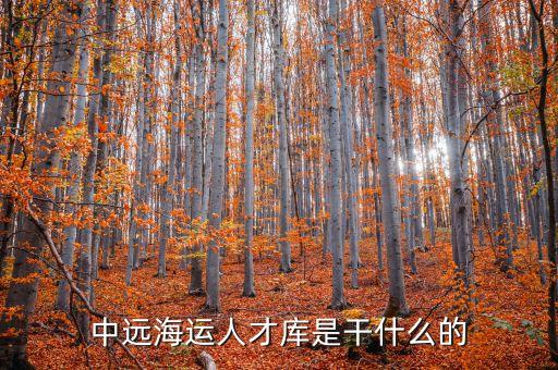 中遠(yuǎn)海運(yùn)人才庫是干什么的