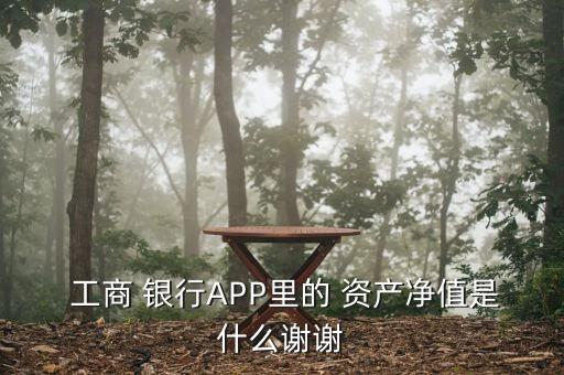  工商 銀行APP里的 資產凈值是什么謝謝