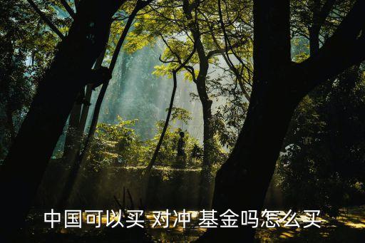 中國(guó)可以買 對(duì)沖 基金嗎怎么買