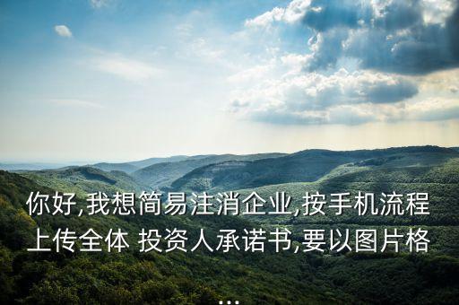 你好,我想簡易注消企業(yè),按手機(jī)流程上傳全體 投資人承諾書,要以圖片格...