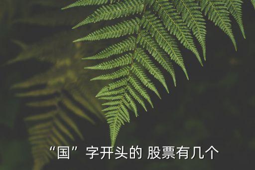 “國”字開頭的 股票有幾個