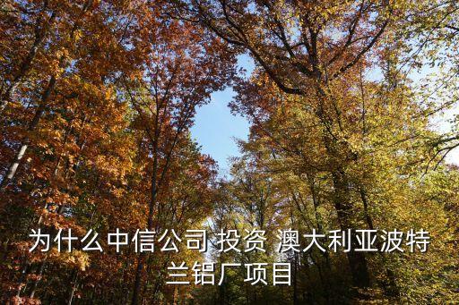 為什么中信公司 投資 澳大利亞波特蘭鋁廠項(xiàng)目