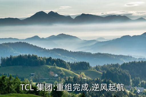 TCL 集團:重組完成,逆風(fēng)起航