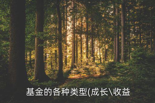  基金的各種類(lèi)型(成長(zhǎng)\收益