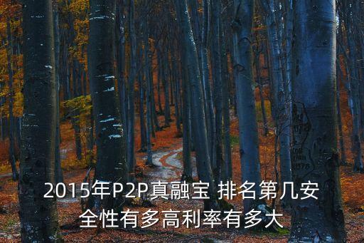 2015年p2p公司排名