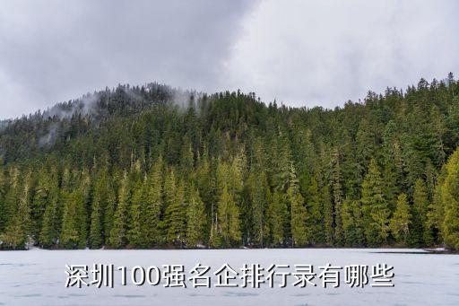 深圳100強(qiáng)名企排行錄有哪些