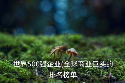  世界500強企業(yè)(全球商業(yè)巨頭的 排名榜單