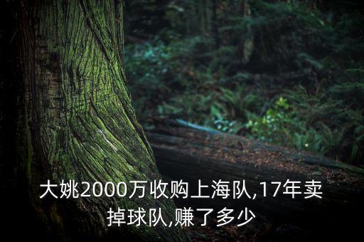 大姚2000萬(wàn)收購(gòu)上海隊(duì),17年賣掉球隊(duì),賺了多少