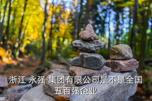 浙江 永強(qiáng) 集團(tuán)有限公司是不是全國(guó)五百?gòu)?qiáng)企業(yè)