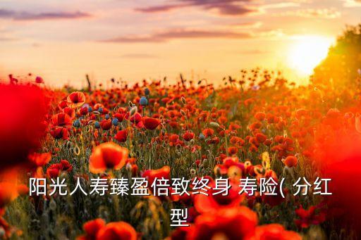 陽光人壽臻盈倍致終身 壽險( 分紅型