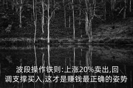  波段操作鐵則:上漲20%賣出,回調(diào)支撐買入,這才是賺錢最正確的姿勢