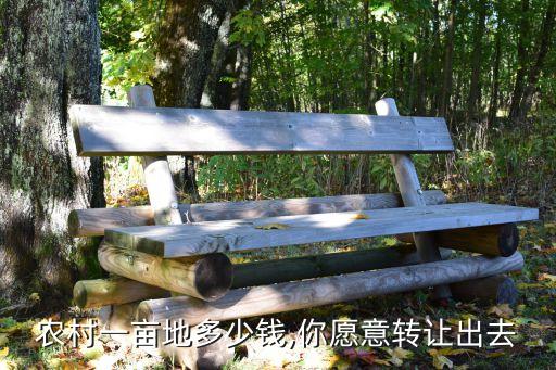 農(nóng)村一畝地多少錢,你愿意轉讓出去