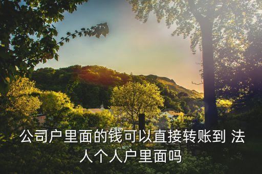  公司戶里面的錢可以直接轉(zhuǎn)賬到 法人個人戶里面嗎