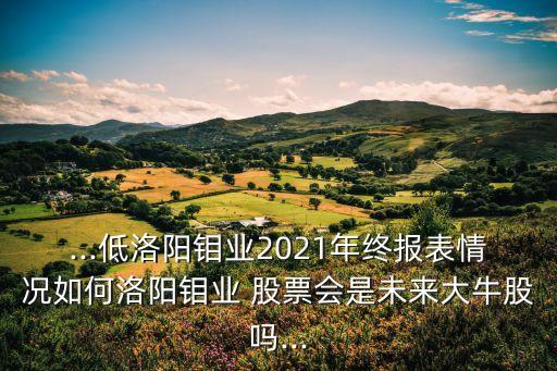 ...低洛陽鉬業(yè)2021年終報(bào)表情況如何洛陽鉬業(yè) 股票會(huì)是未來大牛股嗎...