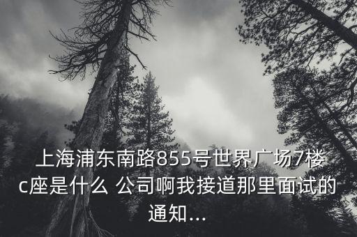  上海浦東南路855號(hào)世界廣場(chǎng)7樓c座是什么 公司啊我接道那里面試的通知...