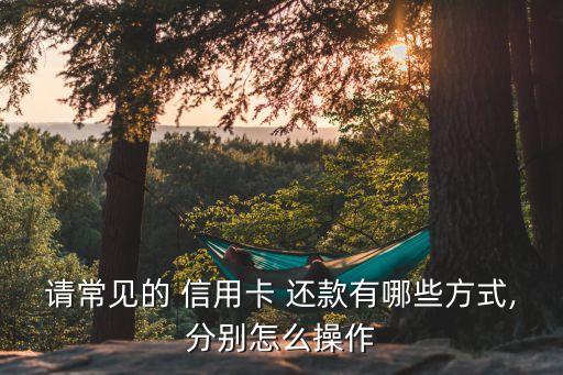 請(qǐng)常見(jiàn)的 信用卡 還款有哪些方式,分別怎么操作