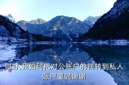 您好,我如何把對公賬戶的錢轉(zhuǎn)到私人賬戶里呢謝謝