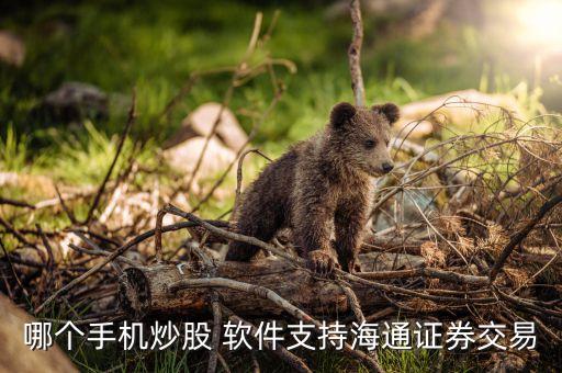 新三板股票軟件,三板股票用什么軟件交易