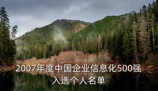 2007年度中國企業(yè)信息化500強入選個人名單