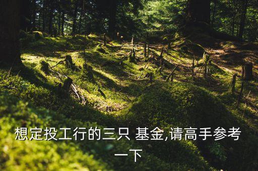 想定投工行的三只 基金,請(qǐng)高手參考一下