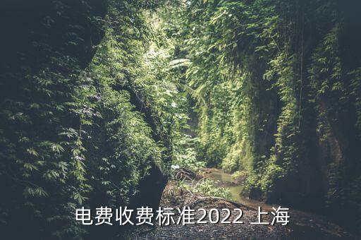  電費收費標準2022 上海