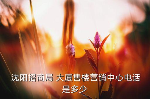 沈陽昌鑫大廈擔(dān)保公司,沈陽青年大街昌鑫大廈