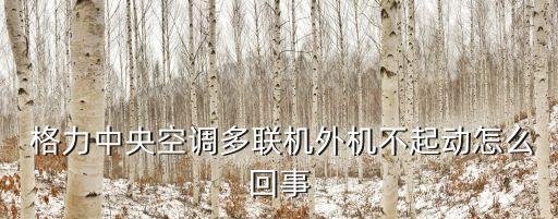 東方世紀格力電器有限公司,深圳世紀格力電器有限公司售后