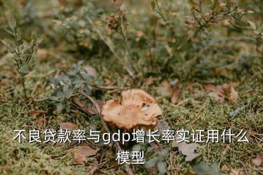 不良貸款率與gdp增長率實(shí)證用什么模型