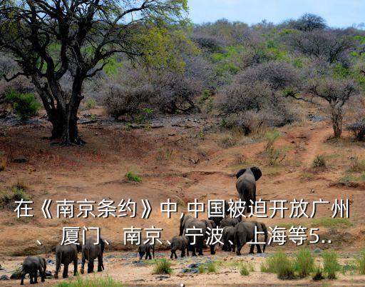 在《南京條約》中,中國被迫開放廣州、 廈門、南京、寧波、上海等5...