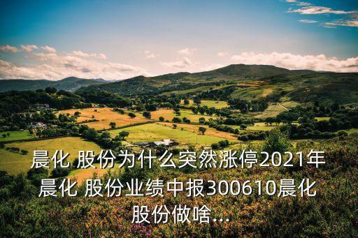 晨化 股份為什么突然漲停2021年晨化 股份業(yè)績中報(bào)300610晨化 股份做啥...