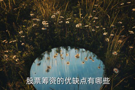 發(fā)行股票的好處壞處,上市公司轉(zhuǎn)贈(zèng)股票好處和壞處