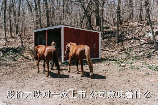 股價(jià)大跌對(duì)一家上市 公司意味著什么