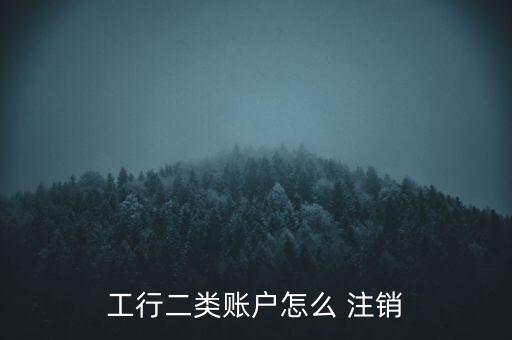 工行二類(lèi)賬戶(hù)怎么 注銷(xiāo)