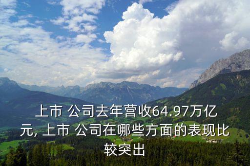  上市 公司去年營收64.97萬億元, 上市 公司在哪些方面的表現(xiàn)比較突出