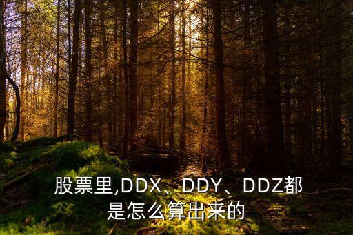  股票里,DDX、DDY、DDZ都是怎么算出來的