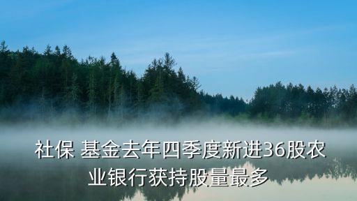  社保 基金去年四季度新進36股農(nóng)業(yè)銀行獲持股量最多