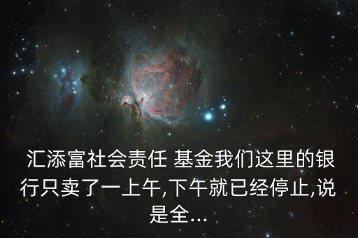  匯添富社會責任 基金我們這里的銀行只賣了一上午,下午就已經停止,說是全...