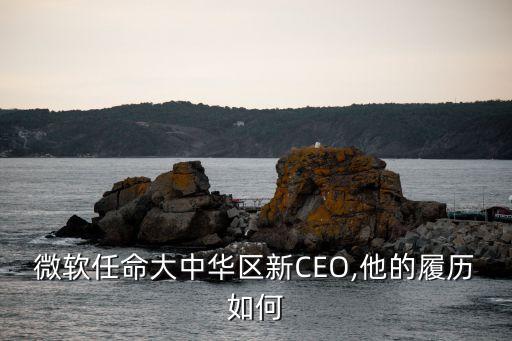 微軟任命大中華區(qū)新CEO,他的履歷如何