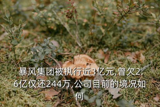  暴風(fēng)集團(tuán)被執(zhí)行近3億元,曾欠2.6億僅還244萬(wàn),公司目前的境況如何