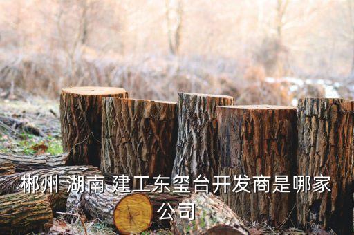 郴州 湖南 建工東璽臺(tái)開發(fā)商是哪家公司