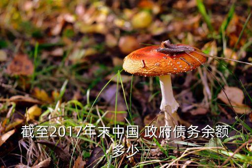 截至2017年末中國(guó) 政府債務(wù)余額多少