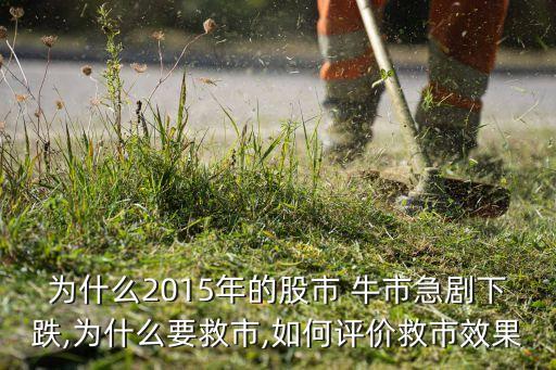 為什么2015年的股市 牛市急劇下跌,為什么要救市,如何評(píng)價(jià)救市效果