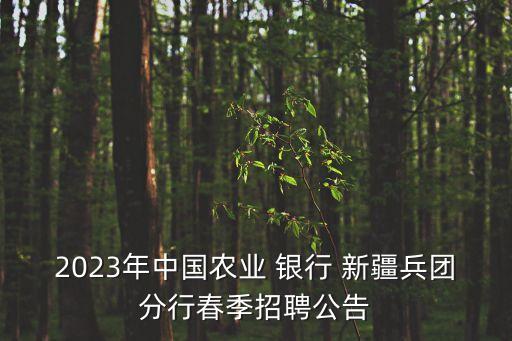 2023年中國農(nóng)業(yè) 銀行 新疆兵團分行春季招聘公告