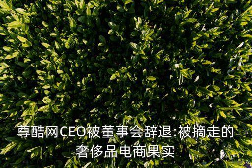 尊酷網(wǎng)CEO被董事會辭退:被摘走的奢侈品電商果實