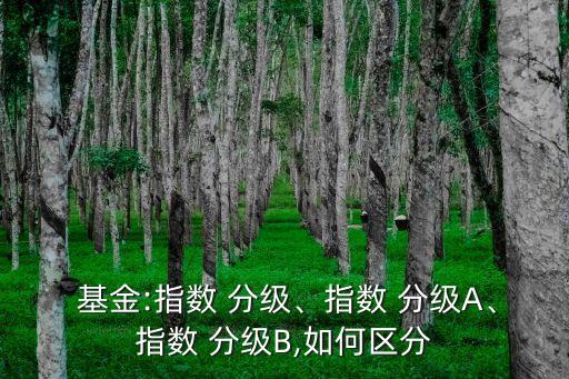  基金:指數(shù) 分級、指數(shù) 分級A、指數(shù) 分級B,如何區(qū)分